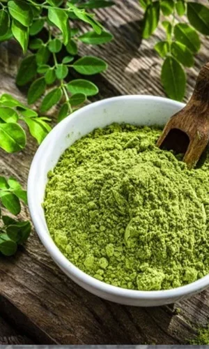 moringa-powder
